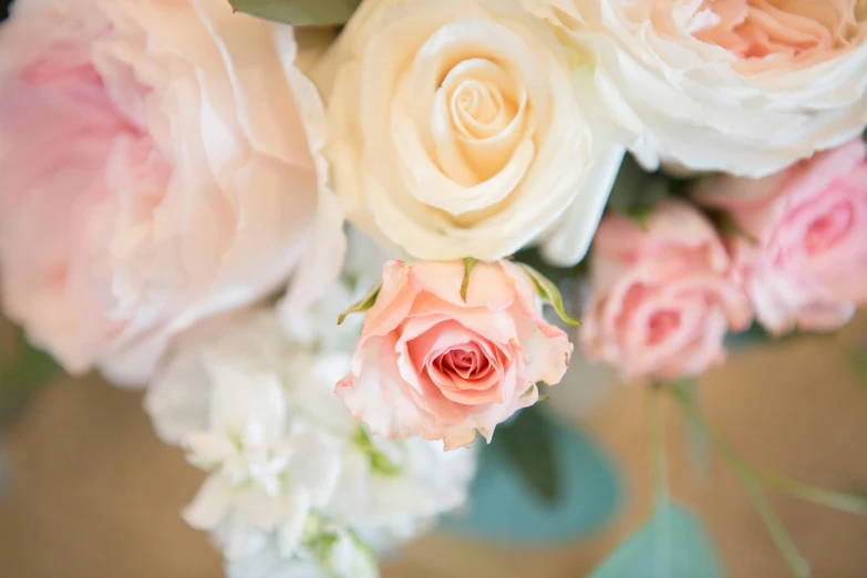 a bouquet of pink and white roses in a vase, by Arabella Rankin, unsplash, pastel blues and pinks, closeup - view, flowers and blossoms, creamy