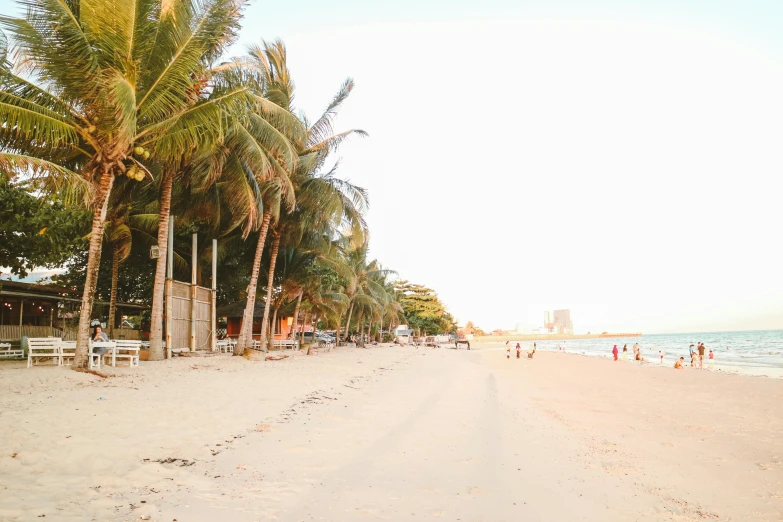 a sandy beach lined with palm trees next to the ocean, golden hour in boracay, profile image, exterior, grey