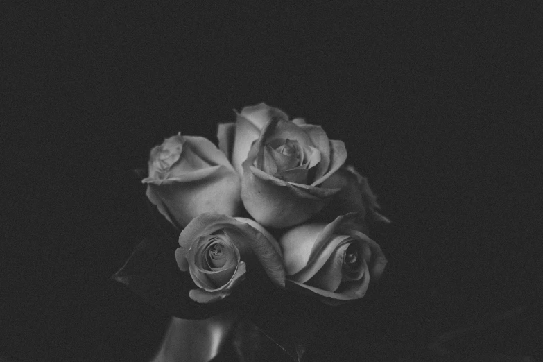 a black and white photo of roses in a vase, unsplash, medium format. soft light, alternate album cover, chiaoscuro, low detailed