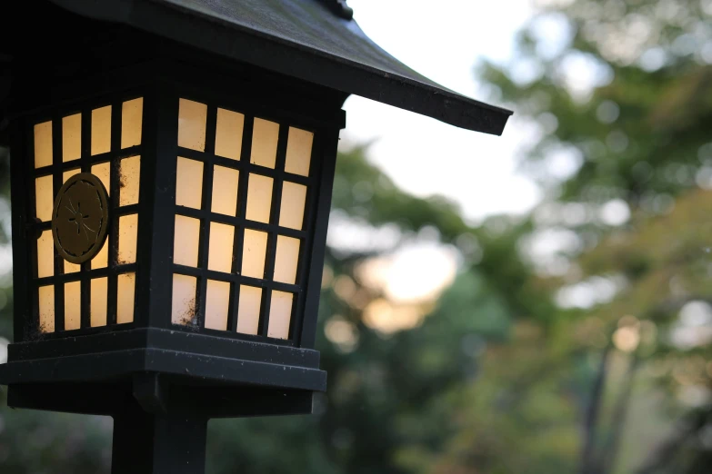 a close up of a street light with trees in the background, inspired by Tōshi Yoshida, unsplash, sōsaku hanga, lanterns on the porch, soft light from the window, cottagecore, museum light