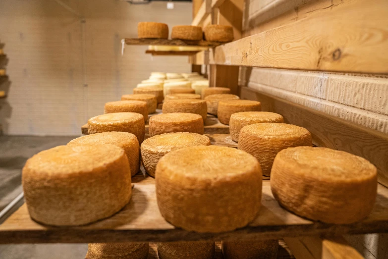 a bunch of cheese sitting on top of a wooden shelf, looking towards the camera, central farm, in rows, sparkling