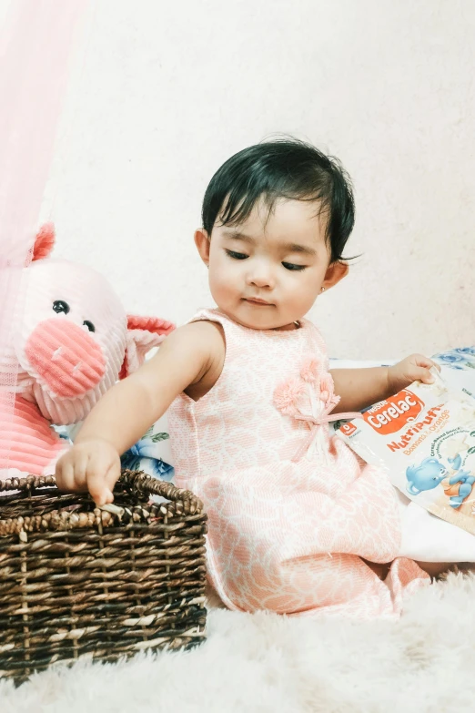 a baby sitting in a basket with a stuffed animal, inspired by Nazmi Ziya Güran, snacks, batik, piglet, promo