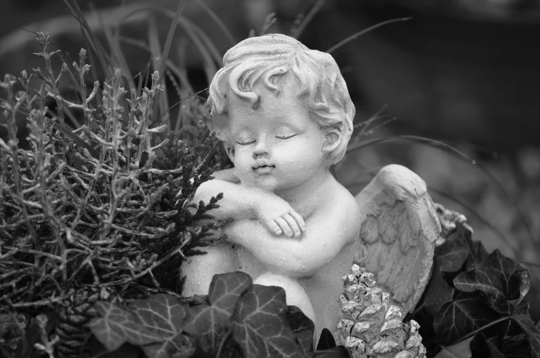 a black and white photo of a statue of an angel, a statue, inspired by Correggio, pixabay contest winner, adorned with all kind of plants, nearly napping, cutest, holiday season