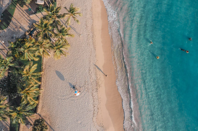 a couple of people standing on top of a sandy beach, flatlay, hawaii, coconut trees, top - down photo