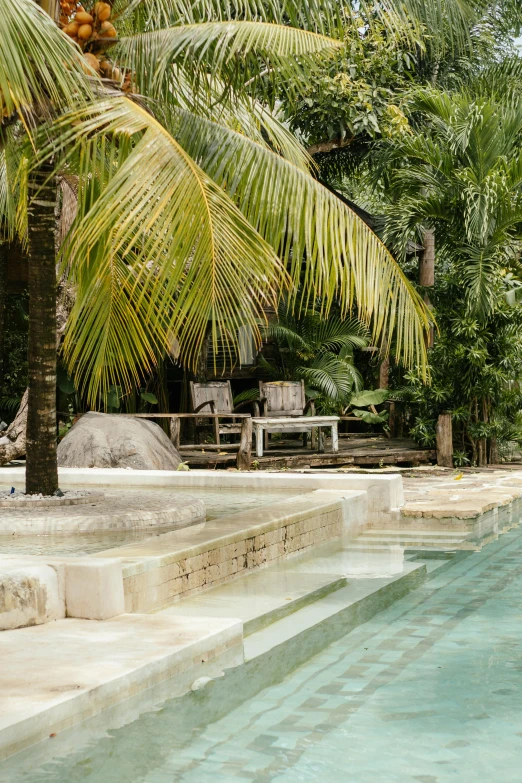 an empty swimming pool surrounded by palm trees, renaissance, las pozas, pearly flagstones, coconuts, spa