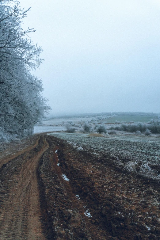 a dirt road in the middle of a snowy field, foggy!, muddy embankment, near farm, smooth white surroundings