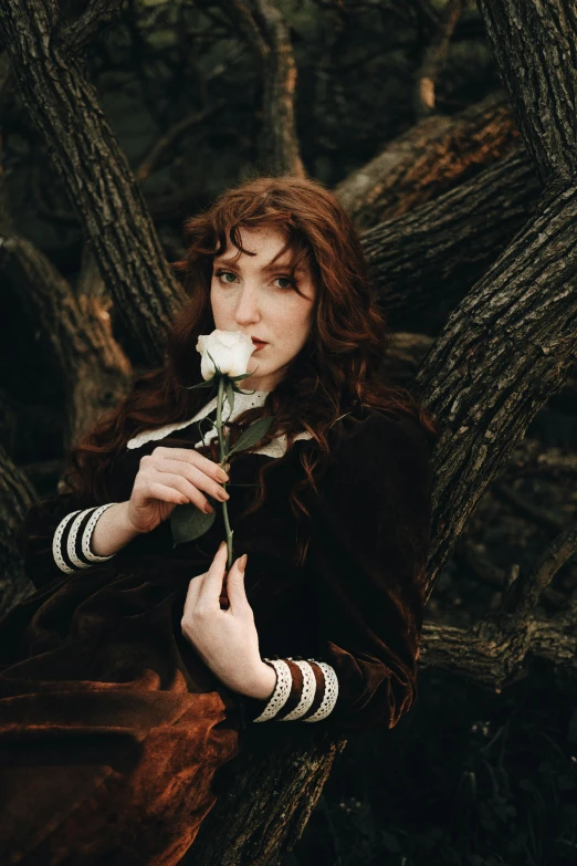 a woman sitting in a tree with a flower in her hand, an album cover, inspired by Arthur Hughes, pexels contest winner, renaissance, felicia day, holding a rose, high quality photo, anna nikonova aka newmilky