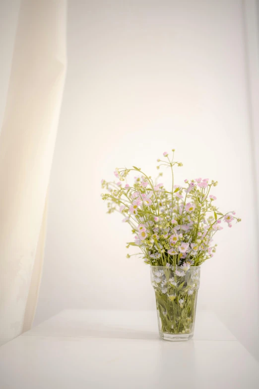 a vase filled with flowers sitting on top of a table, light and space, soft light - n 9, gypsophila, tall, indoor picture