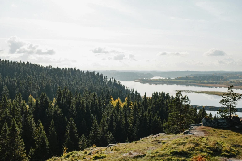 a man standing on top of a lush green hillside, by Christen Dalsgaard, pexels contest winner, hurufiyya, forest with lake, panorama distant view, pine trees in the background, during autumn