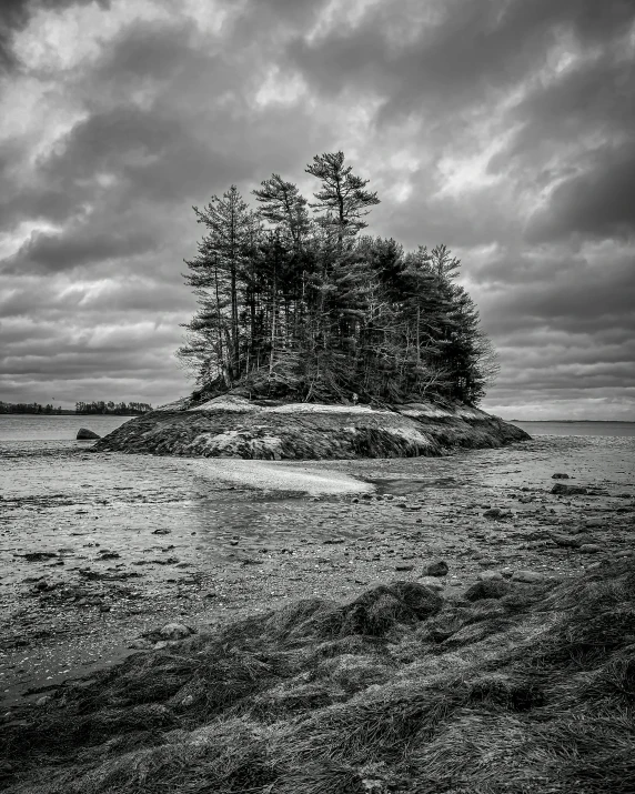 a black and white photo of a small island, inspired by Ansel Adams, flickr, new hampshire, somber colors, treasure island, portrait of tall