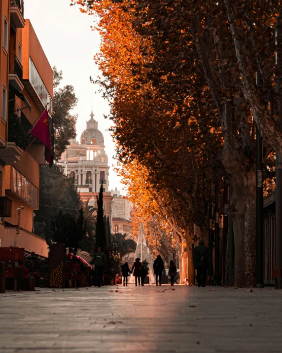 a group of people walking down a street next to tall buildings, by Matteo Pérez, pexels contest winner, baroque, trees with lots of leaves, jerez, orange lights, black and terracotta