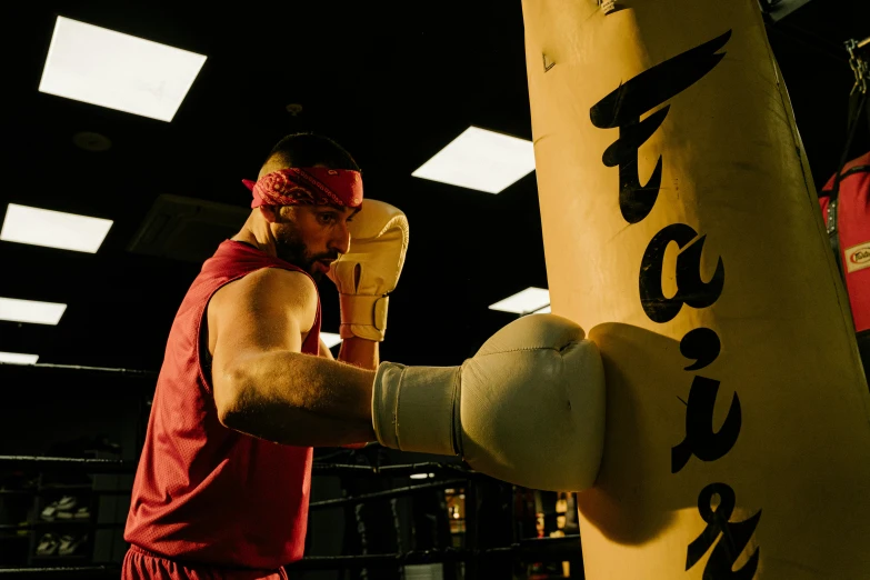 a man standing next to a punching bag, by Robbie Trevino, pexels contest winner, train with maroon, golden gloves, holding a giant flail, profile image