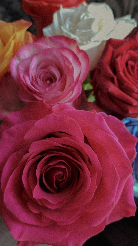 a close up of a bunch of flowers in a vase