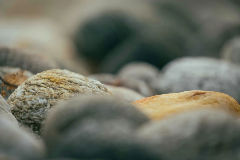 a bird sitting on top of a pile of rocks, a macro photograph, unsplash, minimalism, ((rocks)), muted browns, blurred, 4 k smooth