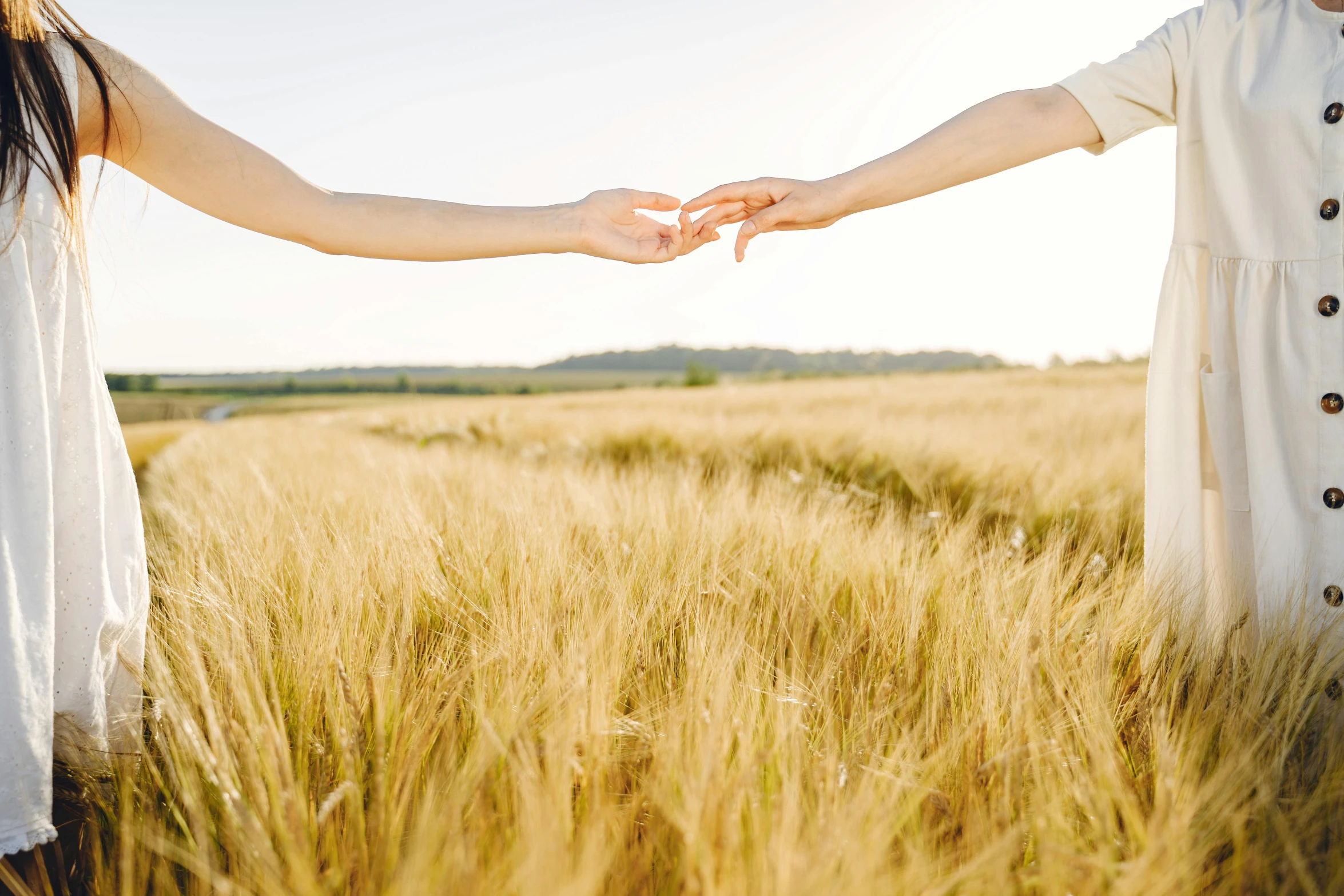 a couple holding hands in a wheat field, trending on pexels, plain background, instagram post, animation, natural beauty