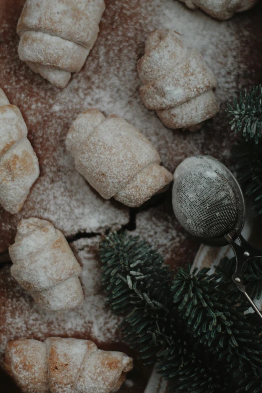 a table topped with doughnuts covered in powdered sugar, inspired by Károly Patkó, pexels contest winner, fossil ornaments, cone shaped, thumbnail, evergreen branches