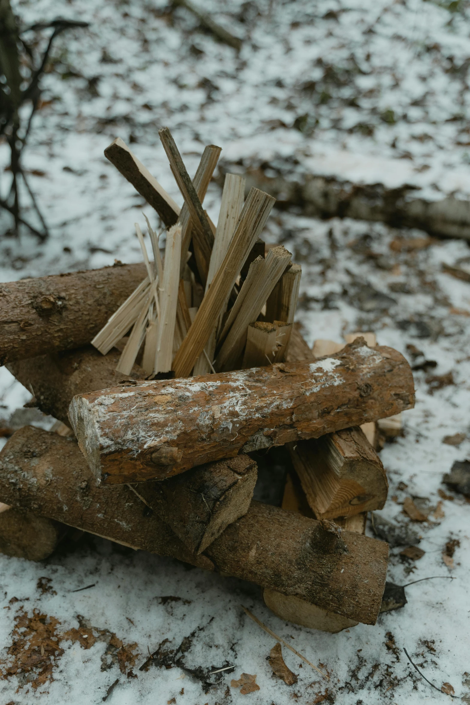 a pile of wood sitting on top of a snow covered ground, inspired by Andy Goldsworthy, unsplash, land art, campfire, birch, brown, small