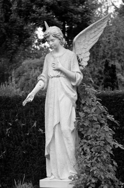 a statue of an angel in a garden, by Marie Angel, light greyscale, фото девушка курит, large)}], 2 0 0 5
