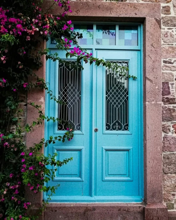 a blue door in front of a stone building, a colorized photo, pexels contest winner, vine and plants and flowers, mauve and cyan, neon greek, ((blue))