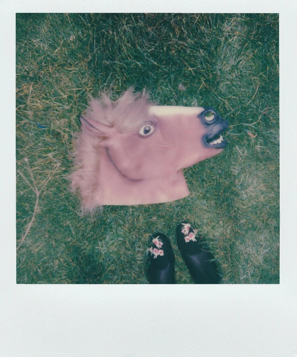 a person standing next to a fake horse head, a polaroid photo, by Ellen Gallagher, unsplash, pale pink grass, seen from straight above, outside on the ground, toys