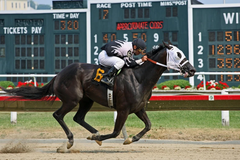 a man riding on the back of a black horse, by Lari Pittman, on a racetrack, white with black spots, greg rutkowski 8 k, square