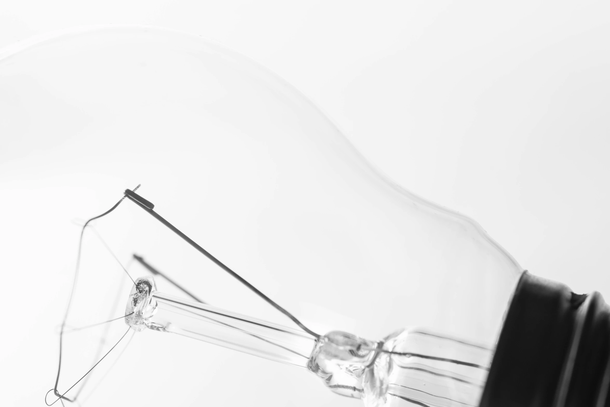 a black and white photo of a light bulb, by Matija Jama, pexels, minimalism, transparent glasses, professional closeup photo, on a white background, glowing - thin - wires
