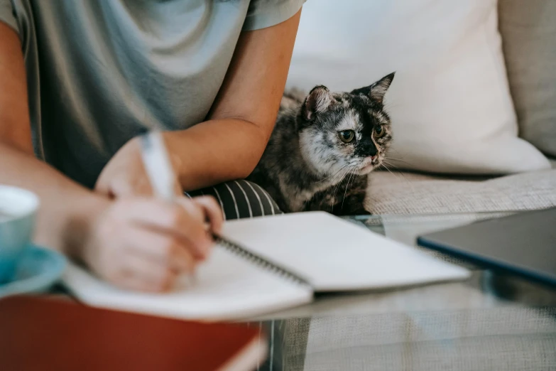 a woman sitting on a couch with a cat next to her, a detailed drawing, pexels contest winner, writing on a clipboard, gif, pet animal, pen and paper