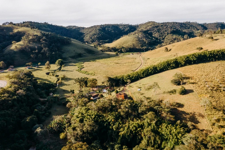 a bird's eye view of a lush green valley, lachlan bailey, log houses built on hills, ultrawide image, exterior shot