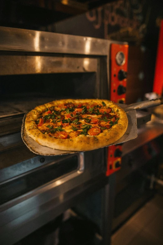 a pizza is being taken out of the oven, daily specials, thumbnail, stainless steel, multicoloured