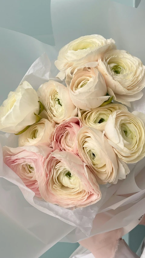 a close up of a person holding a bouquet of flowers, white and pink, thumbnail, pearlized, islamic