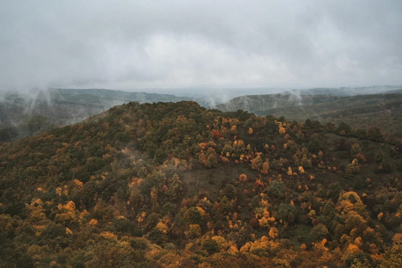 a mountain covered in lots of trees under a cloudy sky, by Dan Frazier, pexels contest winner, autumn rain turkel, overcast gray skies, drone photograpghy, yellow