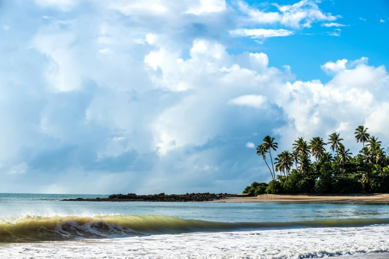 a man riding a surfboard on top of a sandy beach, coconut trees, body of water, panoramic, listing image