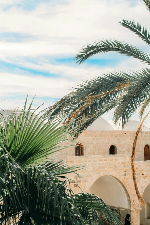 a building with palm trees in front of it, inspired by Riad Beyrouti, trending on unsplash, cyprus, arched back, villages castles, next to a plant