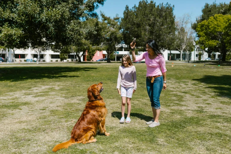 a woman and a little girl playing with a dog, pexels contest winner, park in background, standing straight, aussie, schools