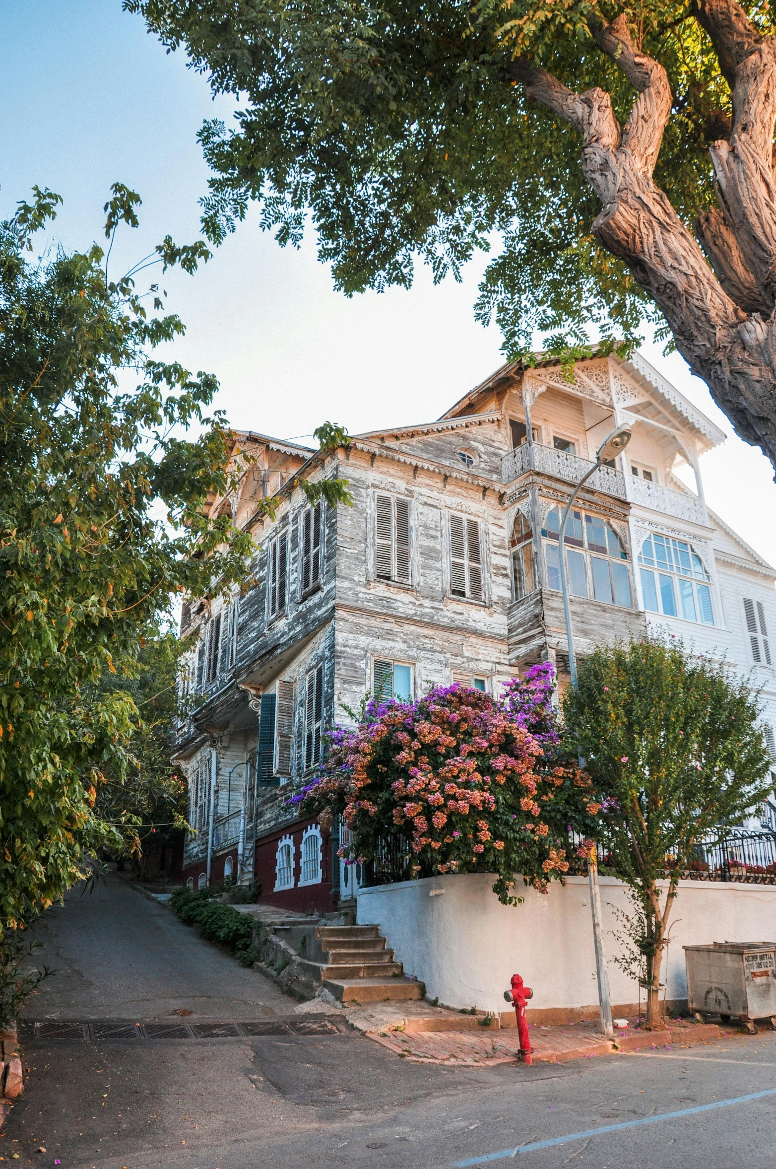 a red fire hydrant sitting on the side of a road, a colorized photo, pexels contest winner, art nouveau, peaceful wooden mansion, turkey, overgrown with flowers, panoramic view