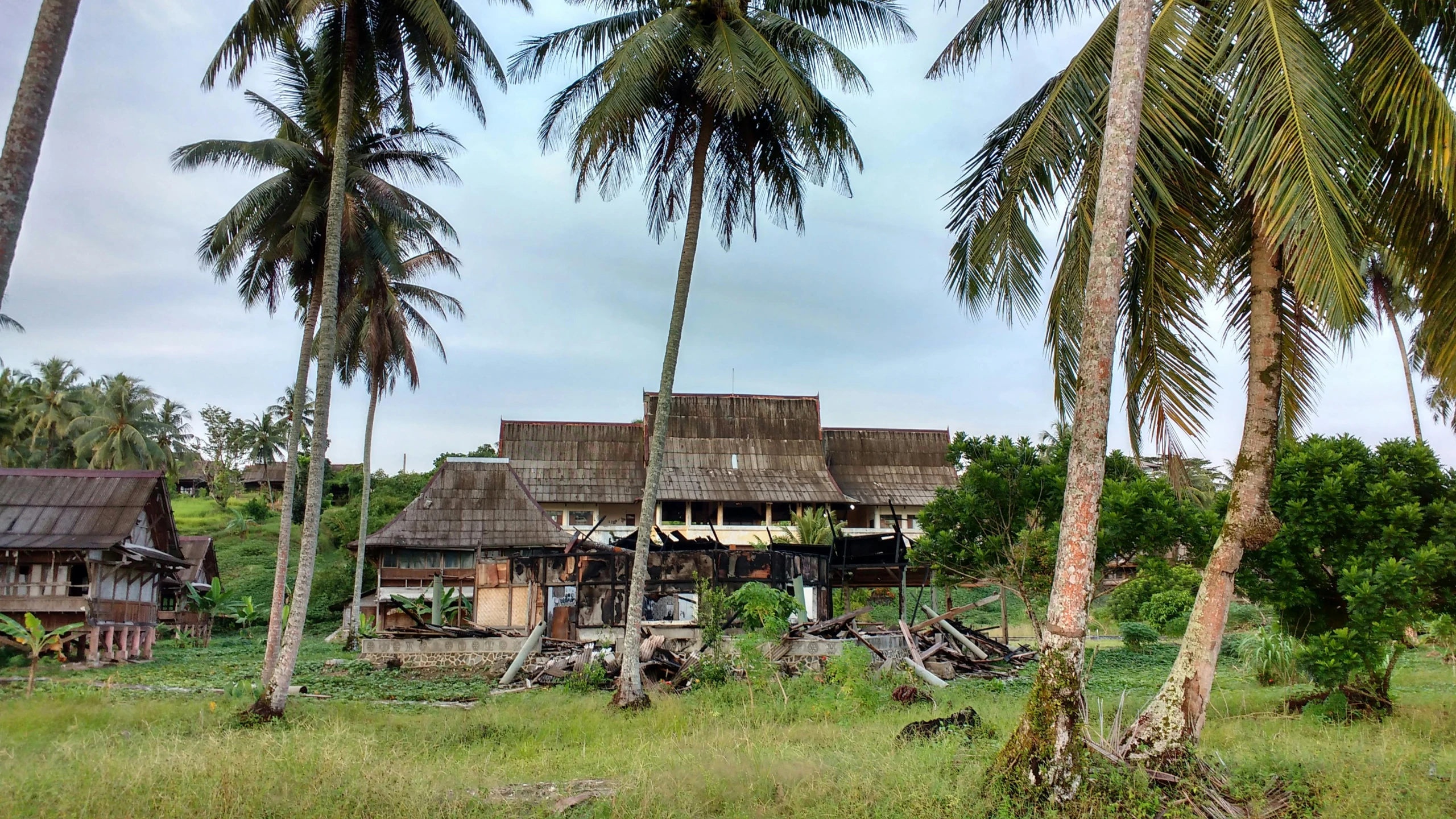 a group of palm trees in front of a house, a portrait, flickr, indonesia, old lumber mill remains, view from the sea, ecovillage