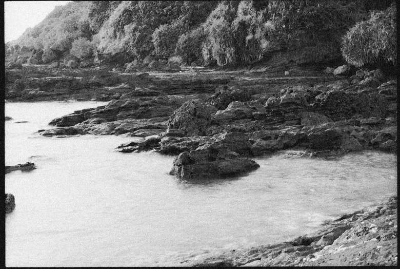 a black and white photo of a body of water, a black and white photo, sōsaku hanga, sparkling cove, tri - x pan stock, beach and tropical vegetation, rock pools