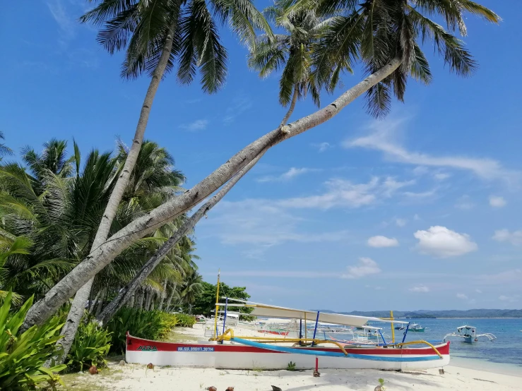 a couple of boats sitting on top of a sandy beach, a picture, inspired by Kogan Gengei, pexels contest winner, dau-al-set, coconut palms, kuntilanak on bayan tree, avatar image, philippines