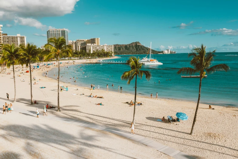 a beach filled with lots of people and palm trees, by Drew Tucker, pexels contest winner, hawaii beach, city view, 1 6 x 1 6, white sand