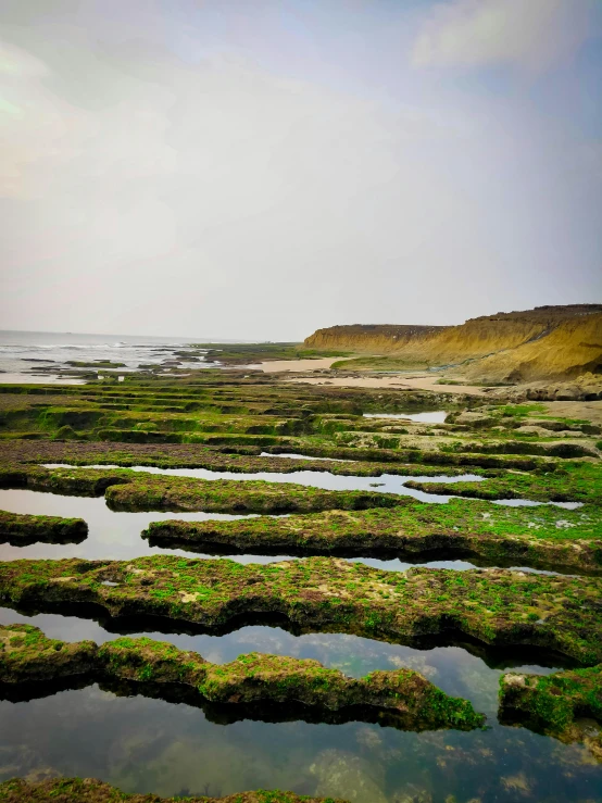 a body of water sitting on top of a sandy beach, by Jacob Toorenvliet, les nabis, moss patches, staggered terraces, marsden, slide show