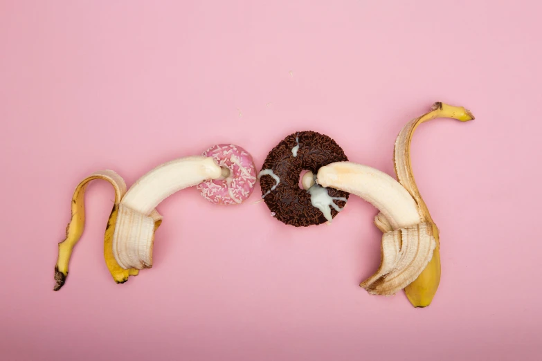 two bananas and a donut on a pink background, by Nina Hamnett, trending on pexels, body breaking apart, intricate image, mixed animal, unsplash photo contest winner