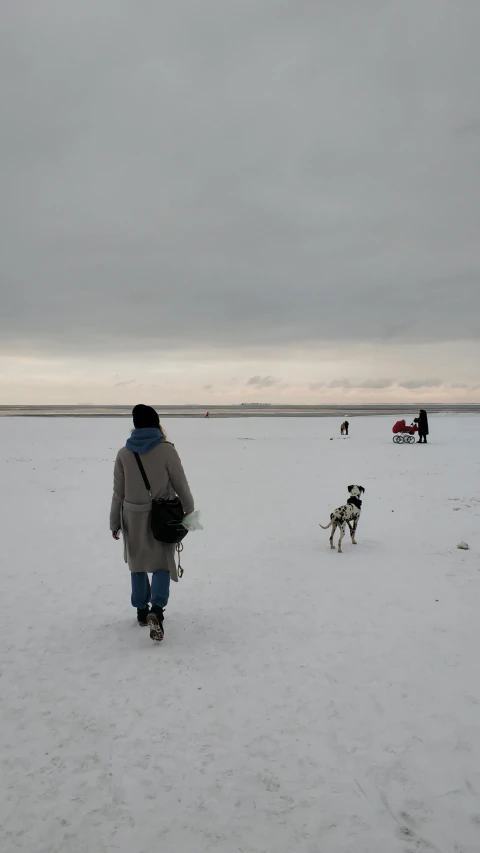 a person walking a dog across a snow covered field, by Christen Dalsgaard, at the seaside, a group of people, afar, thumbnail