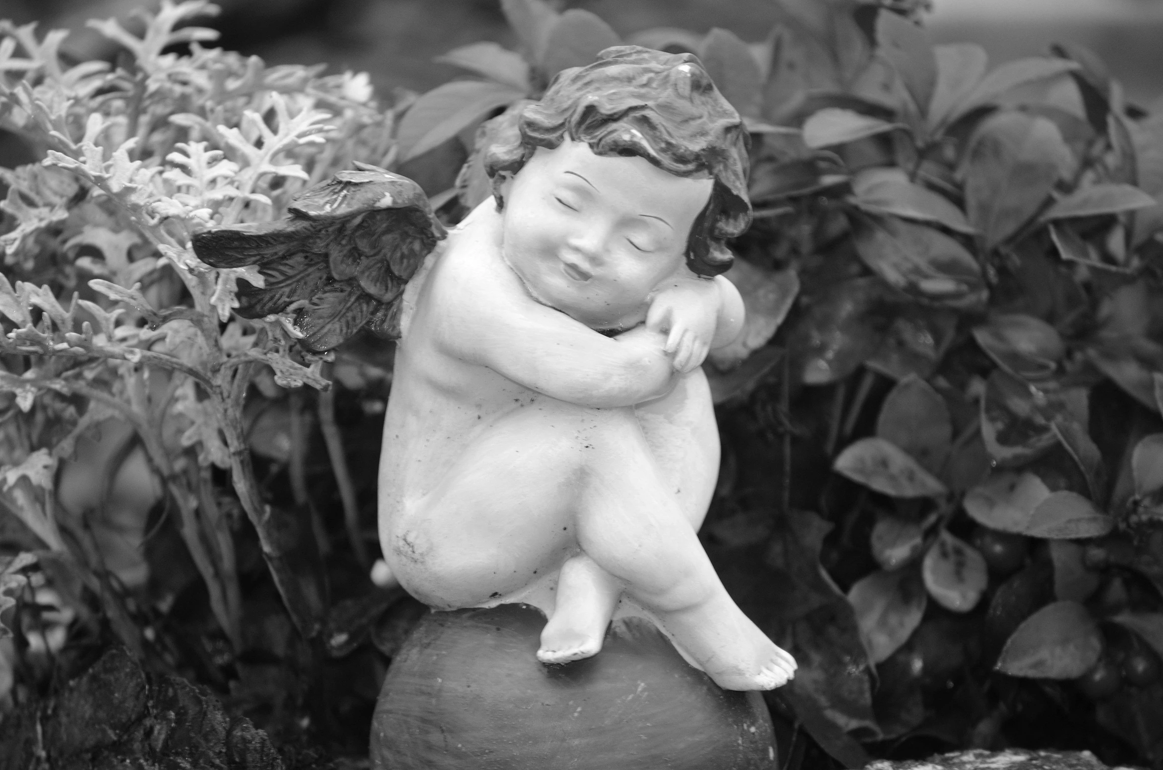 a black and white photo of a statue of a baby angel, a statue, by Charmion von Wiegand, fine art, sitting relax and happy, konica minolta, gardening, sergey krasovskiy