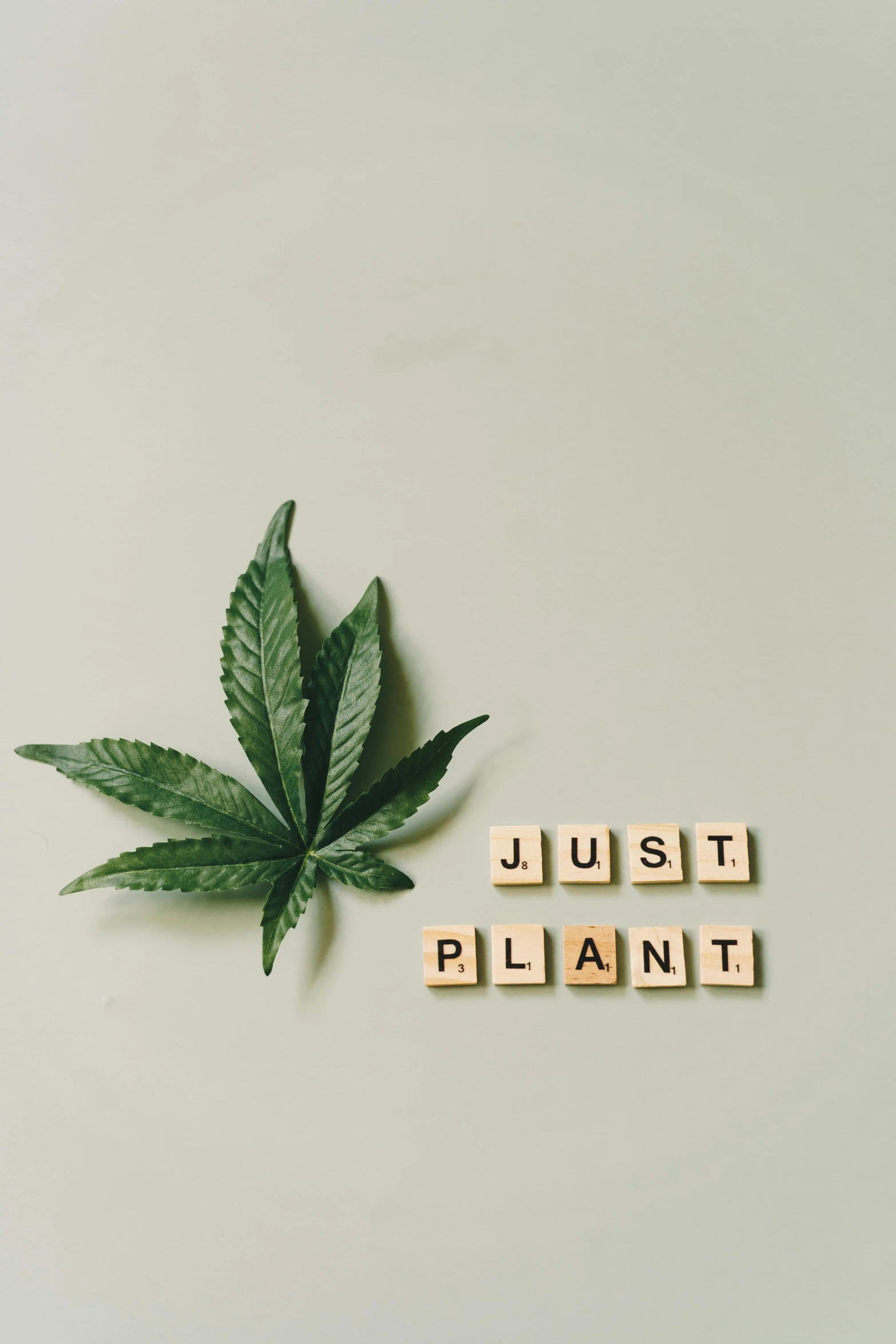 a marijuana leaf with the word just plant spelled on it, a picture, unsplash, postminimalism, multi-part, flatlay, ¯_(ツ)_/¯