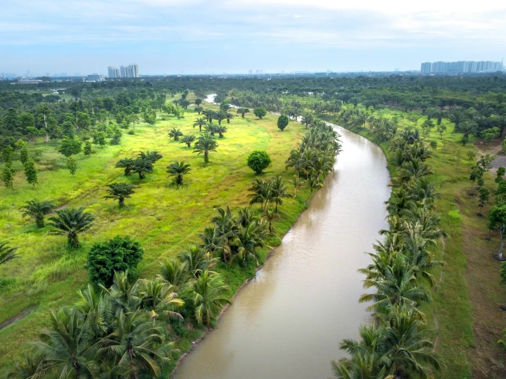 a river running through a lush green field, by Basuki Abdullah, pexels contest winner, bangkok, tree palms in background, aerial footage, canal