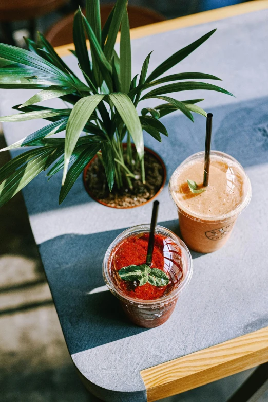 two drinks sitting on top of a table next to a plant, profile image