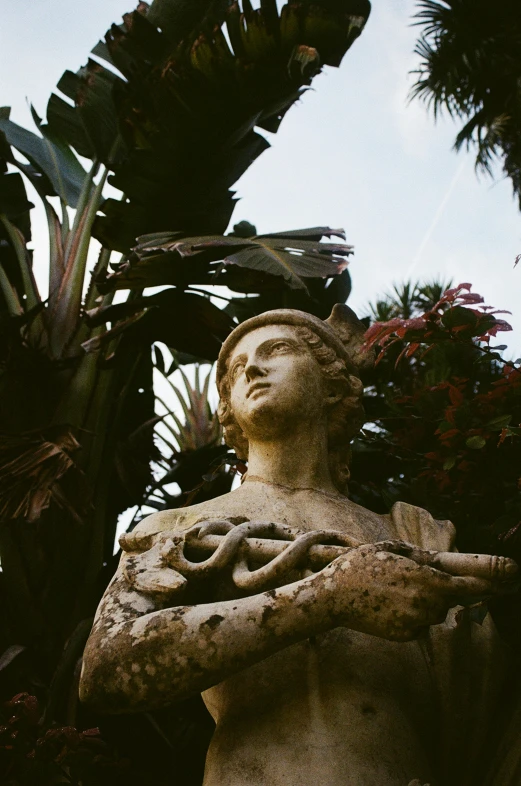 a statue of a woman with a bird on her shoulder, inspired by Elsa Bleda, unsplash, art nouveau, palms, twisted gardens, naples, portrait of a sacred serpent