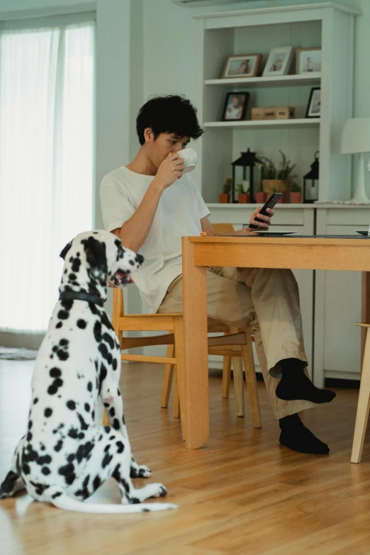 a man sitting at a table with a dalmatian dog, pexels, looking at his phone, square, home office, trending in japan