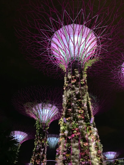 a bunch of trees that are next to each other, inspired by Bruce Munro, pexels contest winner, art nouveau, singapore, the flower tower, cool purple grey lighting, reddish exterior lighting