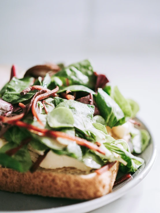 a close up of a plate of food on a table, sandwich, lush greens, profile image, front lit